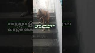 மாற்றம் இல்லை என்றால் வாழ்க்கையில் இல்லை #motivation #comedy