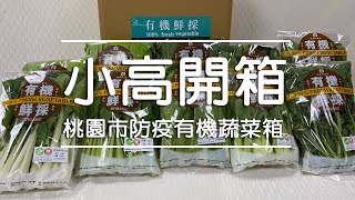 桃園市農會防疫有機蔬菜箱 5公斤380元! [小高開箱]