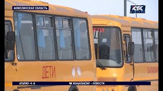 Водитель школьного автобуса, совершивший смертельный наезд на ученицу в Караоткеле, водворен в ИВС