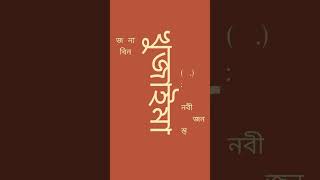 . জয়নাব বিনতে খুজাইমা (রা.) :প্রিয় নবীর একজন স্ত্রী। তিনি মদিনায় নিঃস্বদের জননী হিসেবে পরিচিত ছিলেন