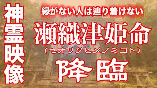 視聴注意⚠️靈魂乱舞※もし逃したら二度とありません※瀬織津姫命（青龍大権現）が降臨しました。十和田神社