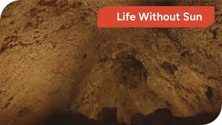 What Lies Beneath: A Cinematic Journey into the Earth's Depths