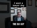 I Want a Lawyer, Dawg (....Dog?)