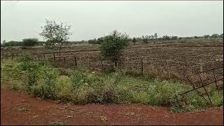 *Agricultural land for sale* 95 Acre || Hasda || Durg District || Chhattisgarh