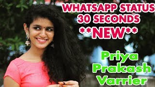 NEW WhatsApp Status Priya Prakash Varrier Video 30 Seconds - NO BOY