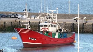 Financial instruments for the fisheries sector