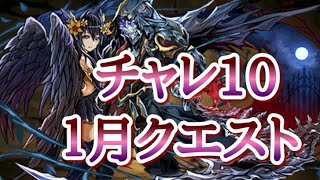 【パズドラ】チャレダン10  転生ハーデス×エンキドゥPT  1月クエスト