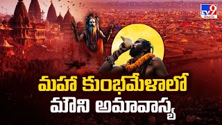 Prayagraj Maha Kumbh Mela : మహా కుంభమేళాలో మౌని అమావాస్య - TV9