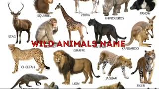 जंगली जानवरों के नाम, wild animals name for kids, wild animals name in english with pictures #wild