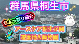 【群馬県桐生市】アースケア桐生が岡遊園地と動物園に行きました！