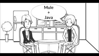 JAVA COMPONENT|WHAT IS JAVA COMPONENT IN MULE SOFT ?