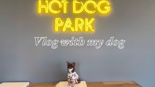 愛犬とのお出かけVLOG 🤎 有明 HOT DOG PARK