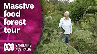 Touring an amazing food forest with over 300 edible plants | Discovery | Gardeni