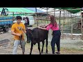 Eid Ul Adha Natok 2022 Niloy Alamgir | Shooting time | Niloy Alamgir | Eid Natok Shooting