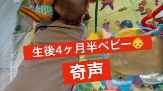 赤ちゃんの奇声【生後四ヶ月】びびる