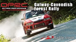 OPRC 2014 Round 5 - Galway Cavendish Forest Rally