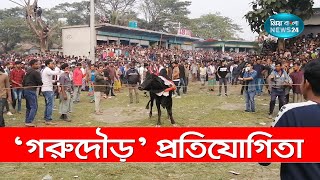 নবাবগঞ্জে ঐতিহ্যবাহি ‘গরুদৌড়’ প্রতিযোগিতা | Traditional 'Garudaur' competition in Nawabganj