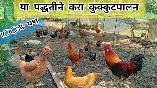 गावठी पद्धतीने करा गावरान कुक्कुटपालन | poultry business marathi | 100% यश