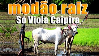 MODÃO DAS ANTIGAS RAIZ SERTANEJO ANTIGO 🌻 MODÃO DE BUTECO RECORDAÇÕES ROMÂNTICAS AS MELHORES