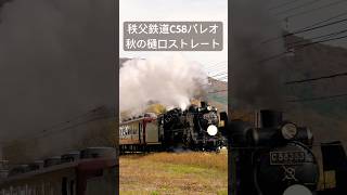 4Kshorts C58-363 SLパレオ　紅葉の樋口ストレート通過　[Chichibu-Railway Steam locomotive Class C58 \