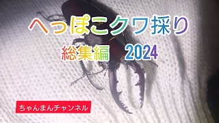 クワガタ採集2024総集編　へっぽこクワ採り