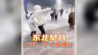 东北雪天的早八大学生，主打一个寸步难行#大学生 #搞笑