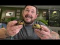 best pet tortoise care tips i top 5 mistakes