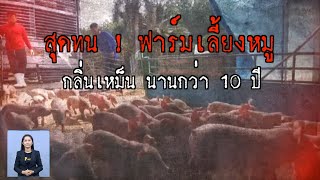 สุดทน ! ร้องฟาร์มเลี้ยงหมูระยอง ส่งกลิ่นเหม็นกว่า 10 ปี | เจษฎาโอ้โฮ