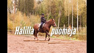 TALLIPÄIVÄ | Halilla puomeja