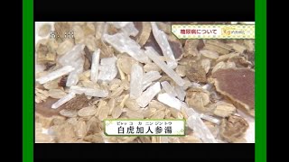 糖尿病にお勧めの漢方薬をご紹介いたします！漢方納得相談　10/01