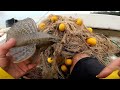 ¡impresionante pescador atrapa grandes peces.