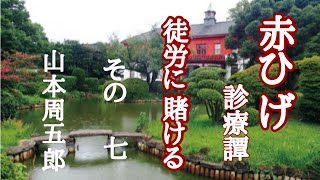 【朗読】「徒労に賭ける⑦最終回」赤ひげの人となりがよくわかる回です^^  山本周五郎「#赤ひげ診療譚」より　…劇団主宰【月嶋紫乃の朗読の世界】【青空文庫】【読み聞かせ】【作業用BGM】【睡眠導入】