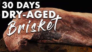 30 DAYS DRY-AGED BRISKET [Experiment] | Salty Tales