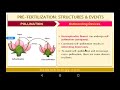 12bio sexual reproduction in flowering plants outbreeding devices