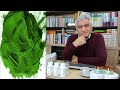 spirulina multivitamin midir ne İçerir vitamin deposu spirulinanın faydaları.