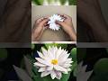 Paper Lotus 🪷 / Water flowers / How To Make paper Lotus / PaperCraft / #DIY #papercraft #easydiy