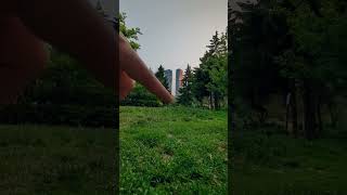 Take Better Photos With Any Camera
