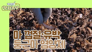 [역전의부자농부 223회] 마껍질과 유박으로 만드는 자연순환식퇴비