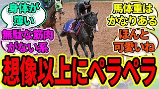 『身体が薄いってよく言われてるイクイノックスくん、想像以上にペラペラだった』に対するみんなの反応【ウマ娘プリティーダービー 競馬の反応集】