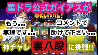 【神チャレ裏八段】星ドラ公式ガイアスが神様チャレンジ裏八段に挑戦してみた‼︎【星のドラゴンクエスト】【かみさまチャレンジ】