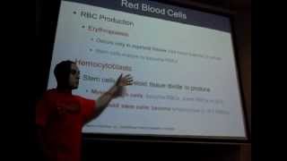 Red Blood Cell Life Cycle \u0026 Understanding Blood Types (SUNY-OCC Lecture: Part 2 of Unit 3)