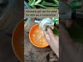 How to use Aloe Vera| get glowing skin| #shorts #ytshorts #aloevera