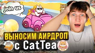 НОВЫЙ ПРОЕКТ ОТ CATIZEN | получаем максимальный дроп в CATTEA