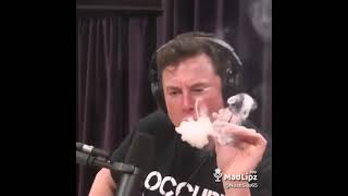 elon must smoking