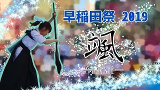 【早稲田大学】漣(さざなみ) 早稲田祭10号館前ステージ 書道パフォーマンス