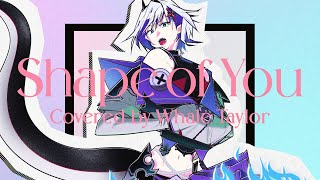 Shape of You - Ed Sheeran /  Covered by Whale Taylor【ホエテラ】