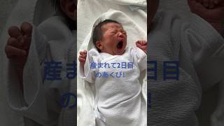 【産まれて2日目のあくび】 #生後2日 #赤ちゃん #新生児 #癒し動画 #かわいい