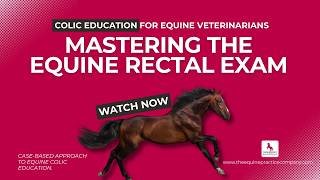 Mastering the Equine Rectal Exam: Key Signs of Surgical Colic