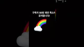 구독자50명 돼면 라이브해요