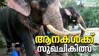 ഗുരുവായൂർ ദേവസ്വം ആനകൾക്ക് സുഖചികിത്സ | Guruvayur | Elephants